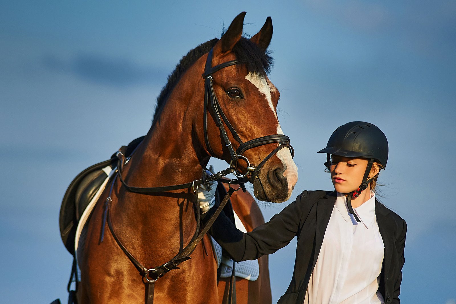 Cours de dressage